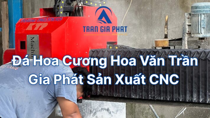 Đá Hoa Cương Hoa Văn Trần Gia Phát Sản Xuất CNC Theo Yêu Cầu
